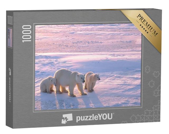 Puzzel 1000 stukjes „IJsbeer met welpen in het Canadese noordpoolgebied“