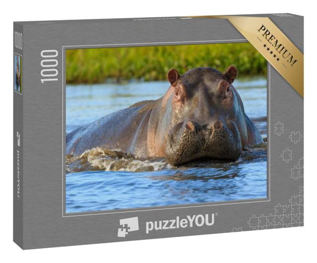 Puzzle 100 Teile „Flusspferde im Liwonde Nationalpark, Malawi“