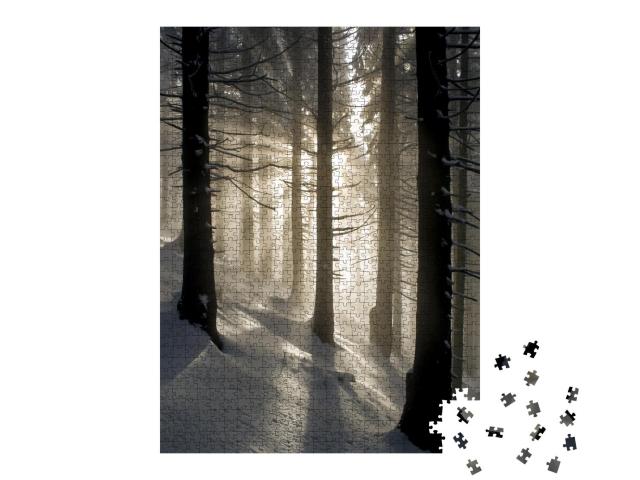 Puzzle 1000 Teile „Sonnenstrahlen im Winterwald“