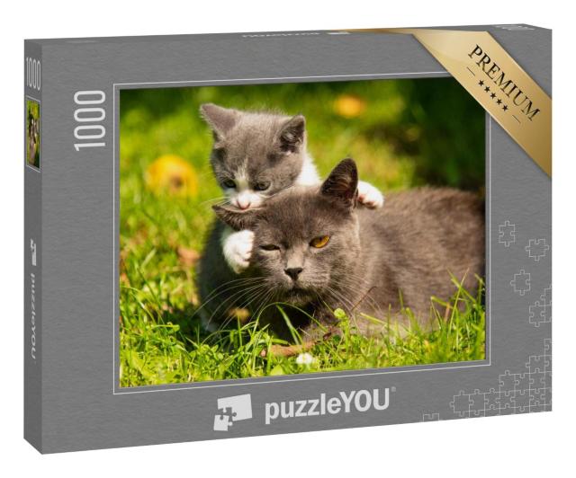 Puzzle 1000 Teile „Katzenmutter mit ihrem kleinen Kätzchen im Gras“