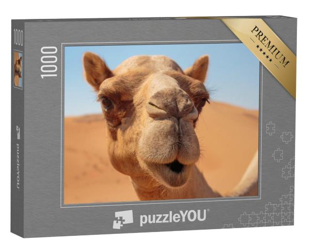 Puzzel 1000 stukjes „Een vriendelijke kameel in de woestijn“