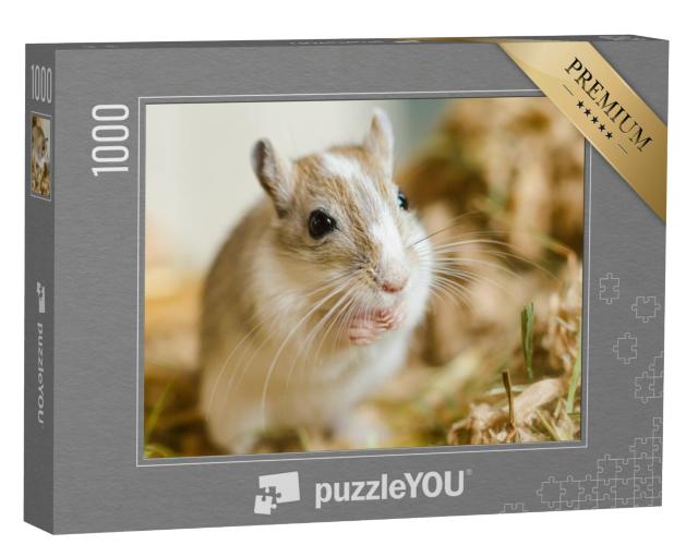 Puzzel 1000 stukjes „Een Mongoolse gerbil knabbelt aan zijn maaltijd“