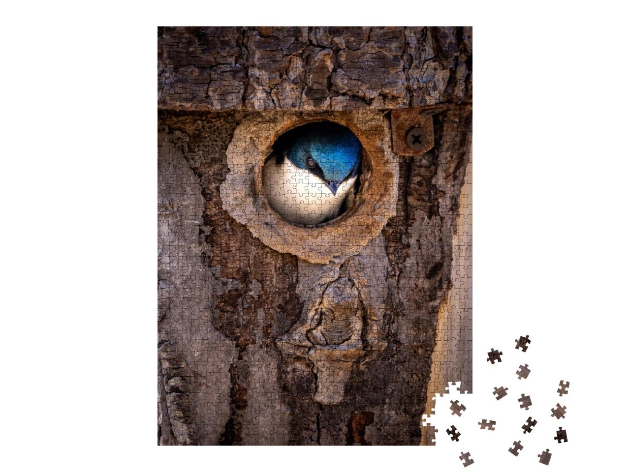 Puzzle 1000 Teile „Brutzeit: Eine Rauchschwalbe wagt sich aus ihrem Nest im Baumstamm“
