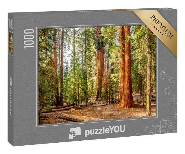 Puzzle 1000 Teile „Sequoia National Park im Herbst, Kalifornien, USA“