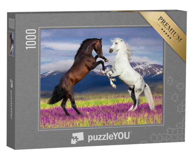 Puzzel 1000 stukjes „Wilde schoonheid: twee dansende paarden“