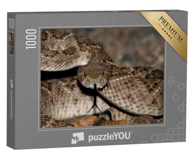 Puzzel 1000 stukjes „Rechtopstaande Mojave ratelslang“