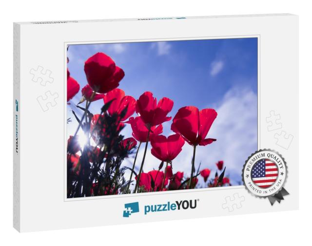 Poppy Flower for Remembrance Day, Memorial Day, Anzac Day... Jigsaw Puzzle