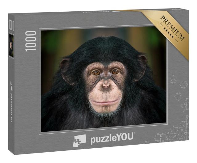 Puzzle „Schimpansen“