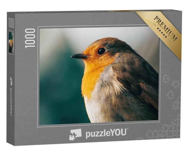 Puzzel 1000 stukjes „Portret van een roodborstje in het avondlicht“