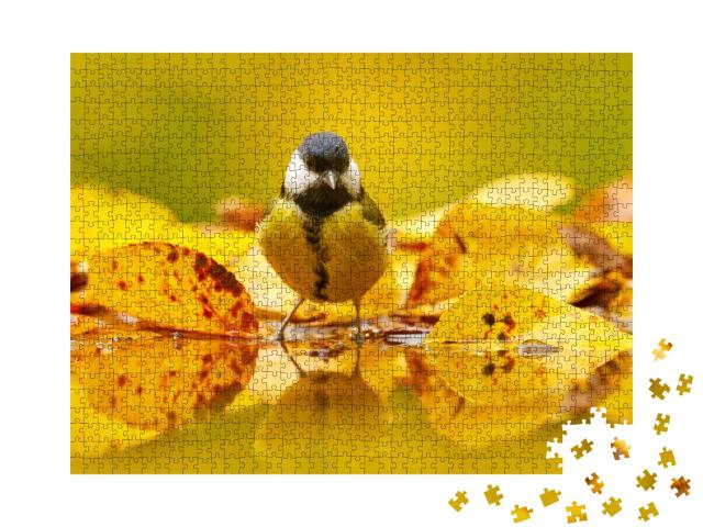 Puzzle 1000 Teile „Kleine Kohlmeise im Herbstlaub“