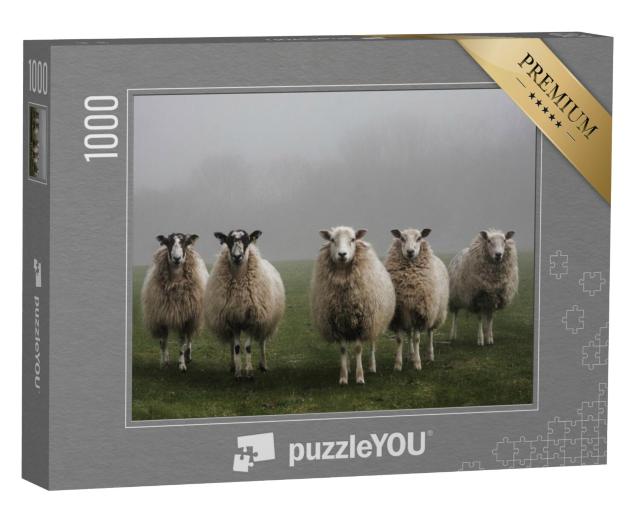 Puzzel 1000 stukjes „Vijf schapen in een veld op een mistige ochtend in Dorset“