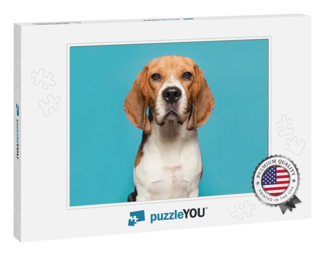 Portrait of a Beagle Looking At the Camera on a Blue Back... Jigsaw Puzzle