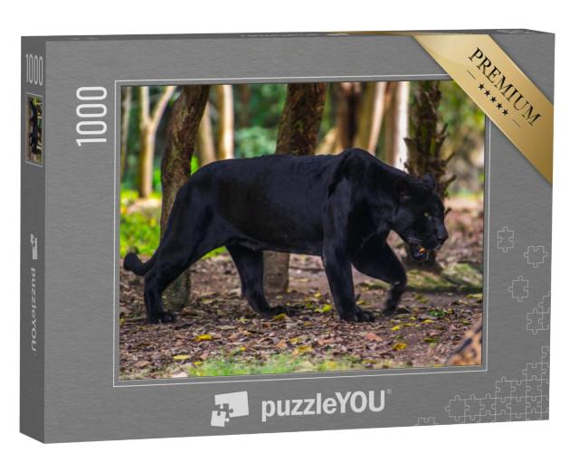 Puzzel 1000 stukjes „Zwarte panter dwaalt door de jungle“