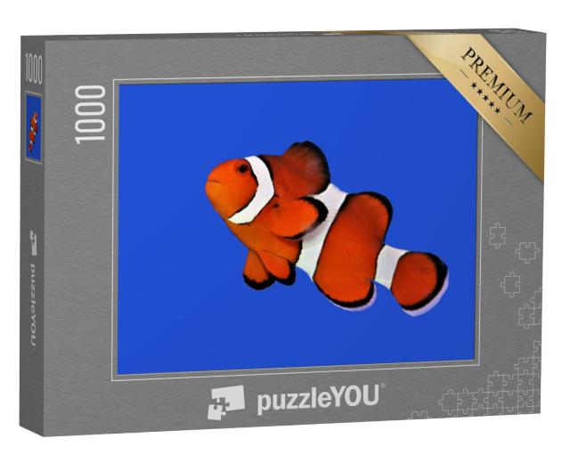 Puzzel 1000 stukjes „Oranje clownvis, percula clownvis“