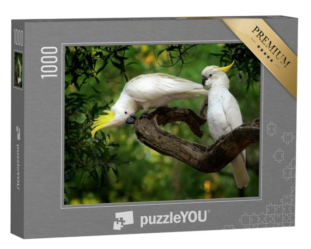 Puzzel 1000 stukjes „Cacatua galerit, Sulphur-crested Cockatoo op een tak, Australië“