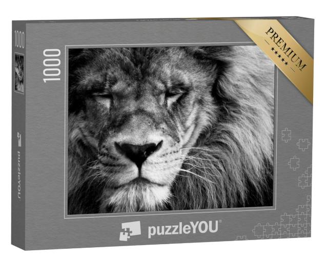 Puzzel 1000 stukjes „Portret van een mooie leeuw“