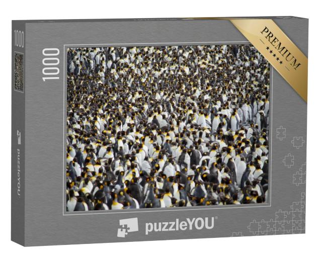 Puzzel 1000 stukjes „Enorme kolonie koningspinguïns“