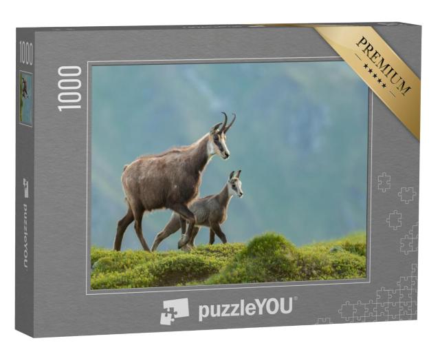 Puzzel 1000 stukjes „Moeder gems met jong op de bergweide“