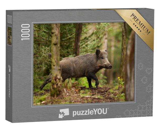 Puzzel 1000 stukjes „Wilde zwijnen in de bossen van Tsjechië“