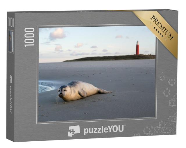 Puzzel 1000 stukjes „Jonge gewone zeehond op het strand van Texel“