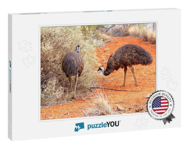 Couple of Emus in Red Desert Near Uluru Ayers Rock, Austr... Jigsaw Puzzle