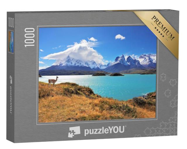 Puzzel 1000 stukjes „Het prachtige nationale park Torres del Paine in het zuiden van Chili“