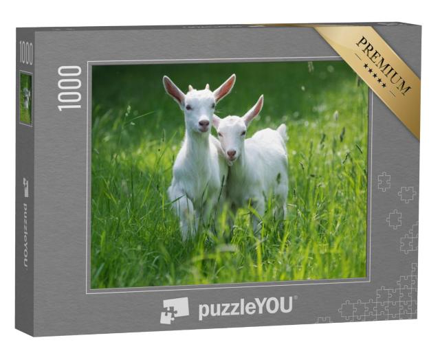 Puzzel 1000 stukjes „Twee babygeitjes in het hoge zomergras“