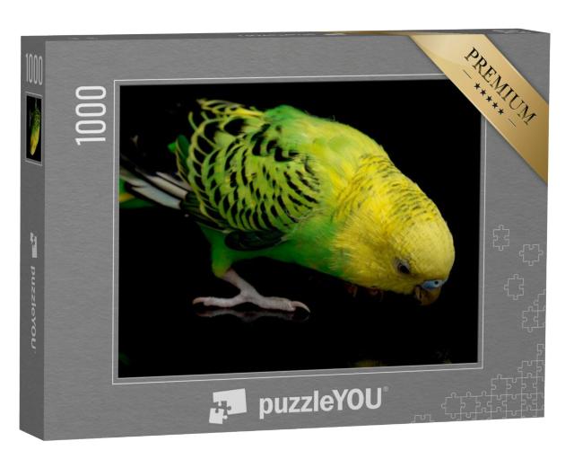 Puzzel 1000 stukjes „Close-up van een groene en gele grasparkiet“