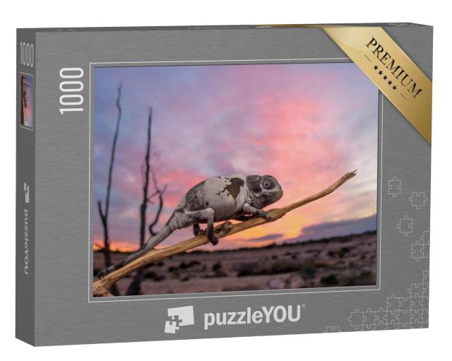 Puzzel 1000 stukjes „Kameleon bij zonsondergang, Spanje“