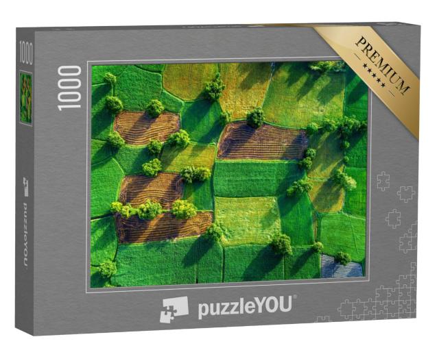 Puzzel 1000 stukjes „Rijstvelden in de Mekongdelta, Vietnam“