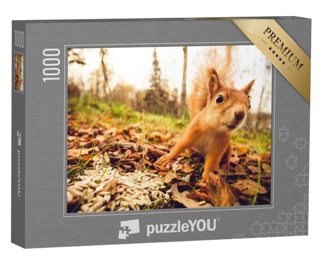 Puzzel 1000 stukjes „Eekhoorns in het bos“