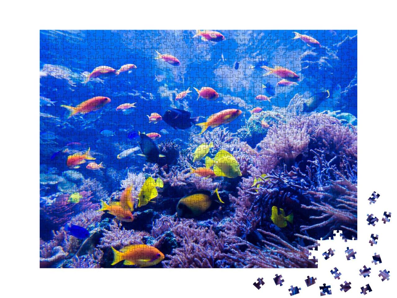 Puzzle 100 Teile „schöne Unterwasserwelt“