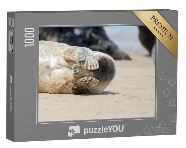 Puzzel 1000 stukjes „Waar is de kleine zeehond?“