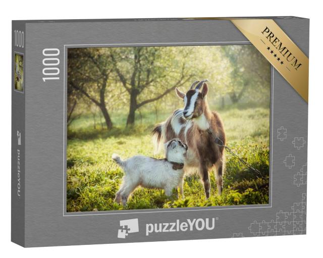 Puzzel 1000 stukjes „Geit met een babygeit“