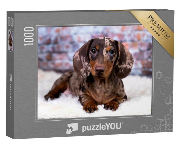 Puzzel 1000 stukjes „Teckel“