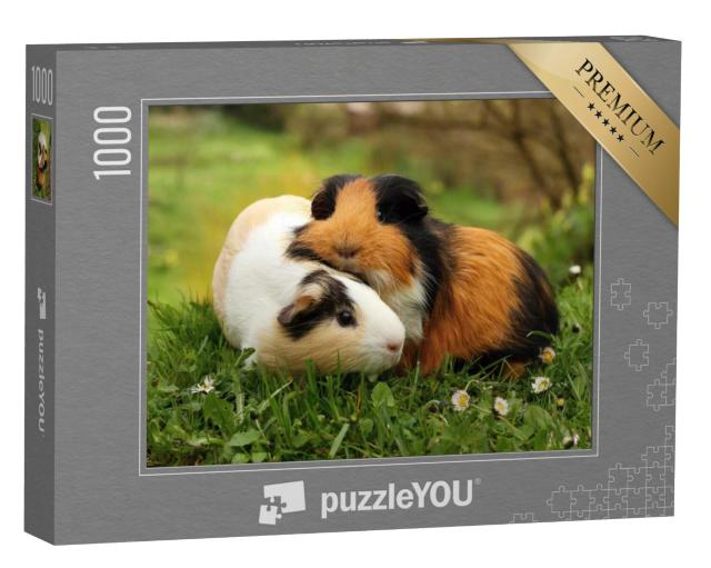 Puzzel 1000 stukjes „Cavia vrienden“