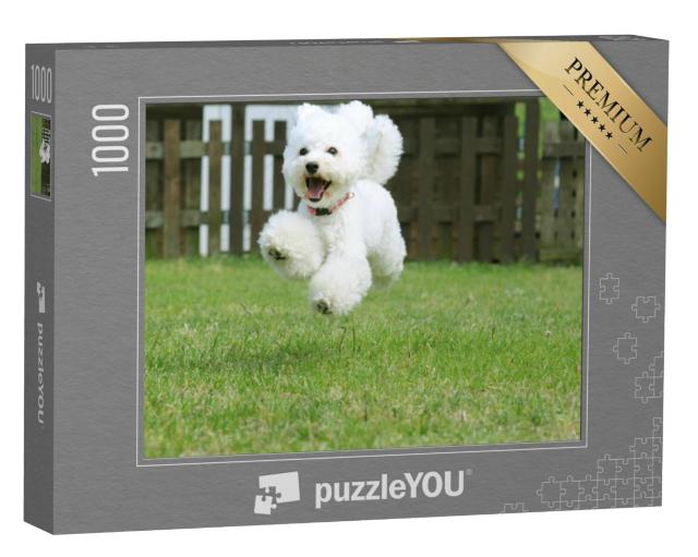 Puzzel 1000 stukjes „Witte dwergpoedel speelt in de tuin“