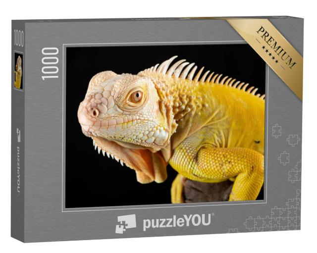 Puzzel 1000 stukjes „Close-up van een gele albino leguaan“