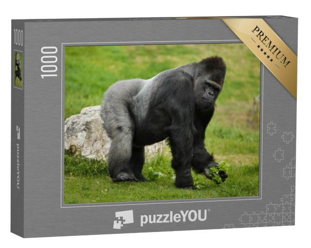 Puzzel 1000 stukjes „Westelijke laaglandgorilla“