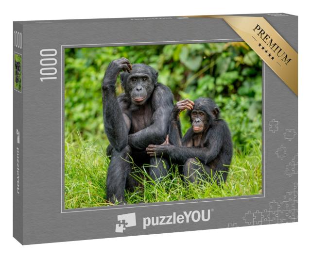 Puzzle 1000 Teile „Weiblicher Bonobo mit einem Baby, Kongo, Afrika“