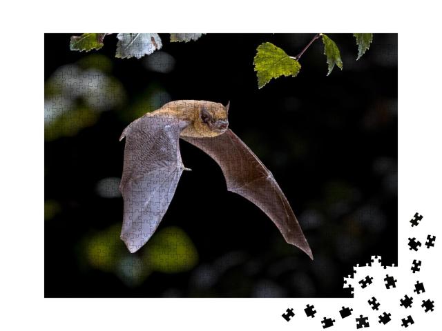 Puzzle 1000 Teile „Pipistrelle Fledermaus beim Flug durch den Wald“