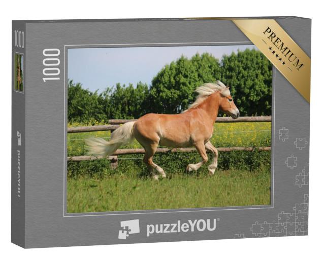 Puzzel 1000 stukjes „Prachtig Haflinger paard in de paddock“