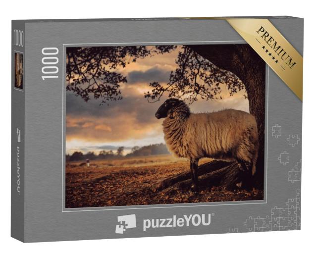 Puzzel 1000 stukjes „Schaap met een zwarte kop staat onder een boom“