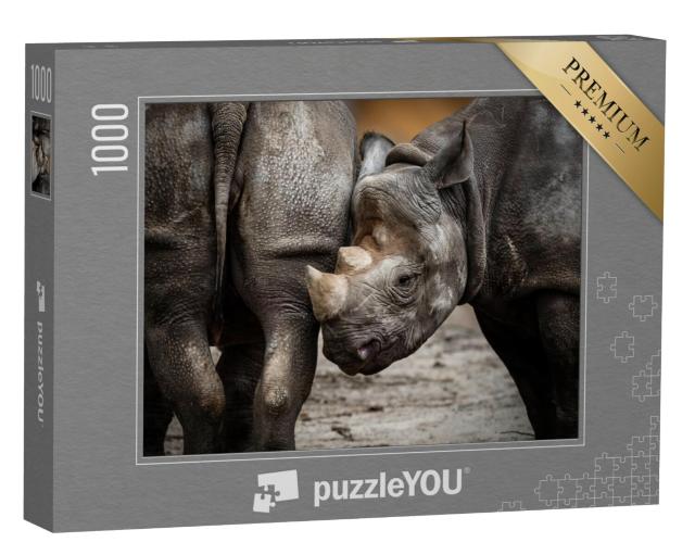 Puzzel 1000 stukjes „Een neushoorn welp“