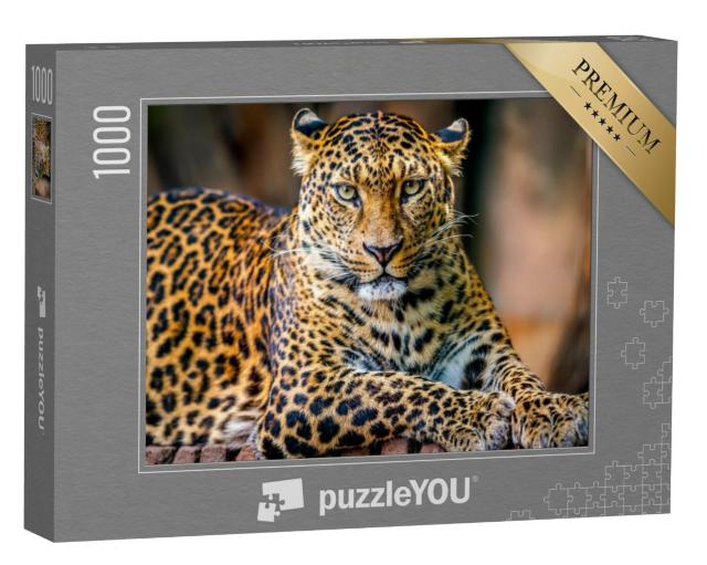 Puzzel 1000 stukjes „Portret van een luipaard“