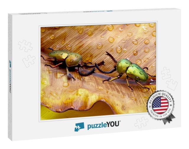 Beetles, Sawtooth Beetles, Golden & Green Metallic Sawtoo... Jigsaw Puzzle