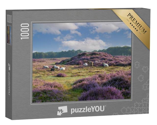 Puzzel 1000 stukjes „Gasterse Duinen bij het dorp Gasteren in de Nederlandse provincie Drenthe“