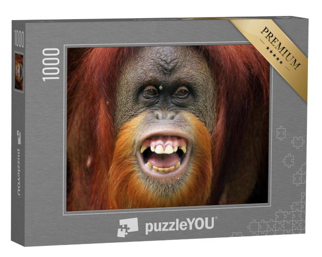 Puzzel 1000 stukjes „Gezicht van orang-oetan Sumateran“