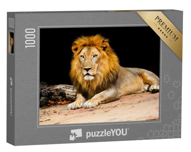 Puzzel 1000 stukjes „Een leeuw“