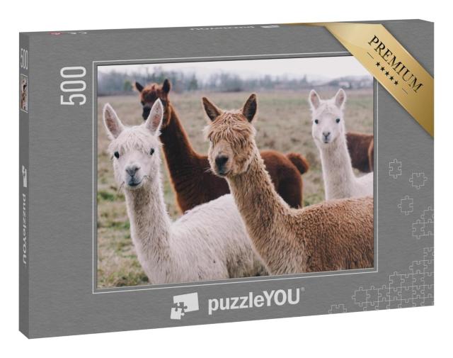 Puzzle 500 Teile „Herde von Alpakas“